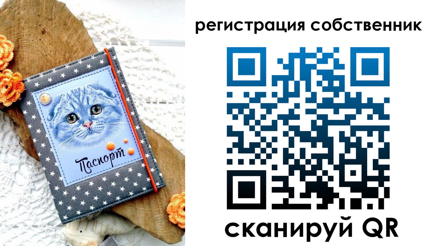 прописка для работы в Майкопе